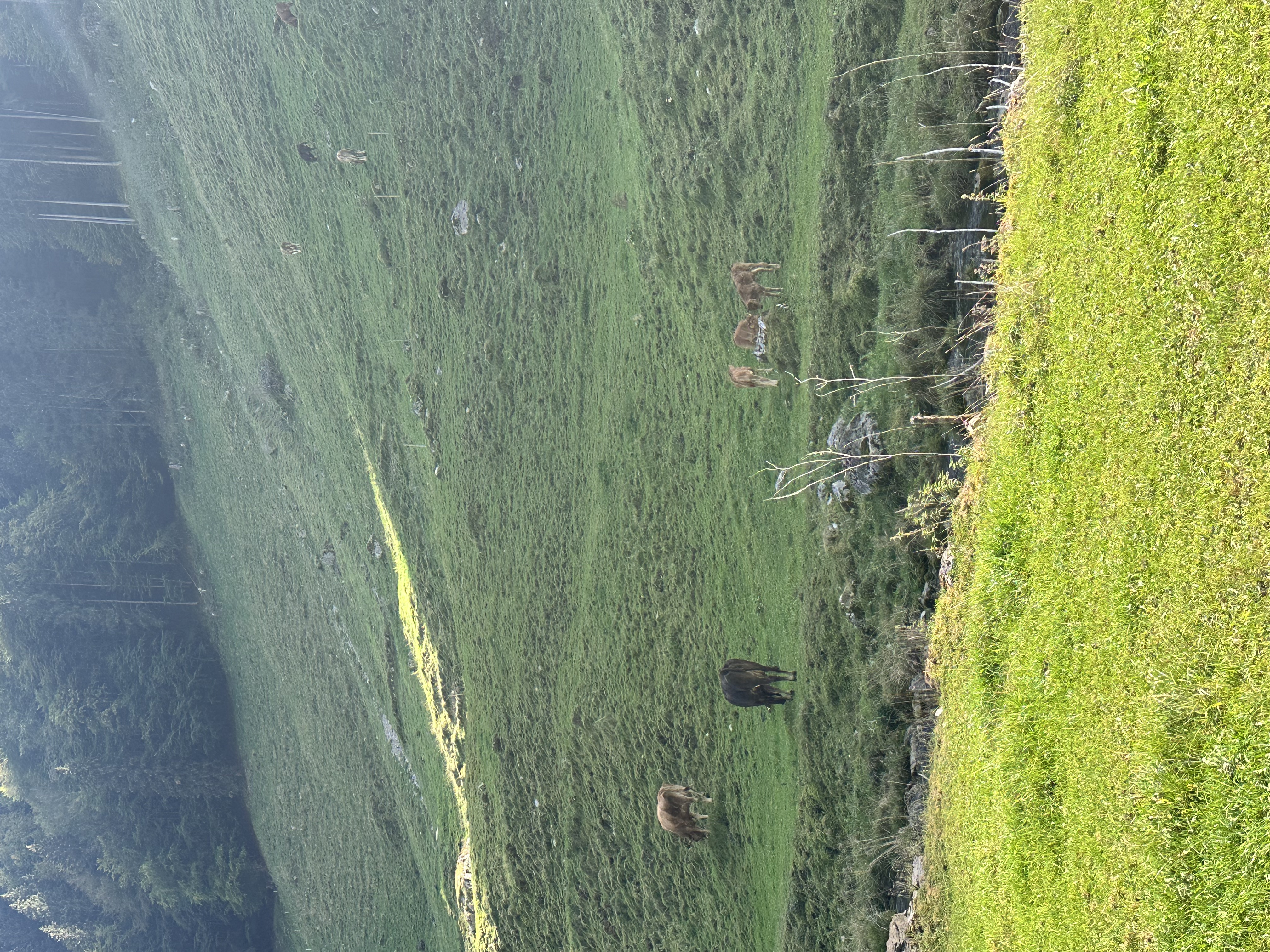picture of a moutain along the way from Sätnis to Wasserauen